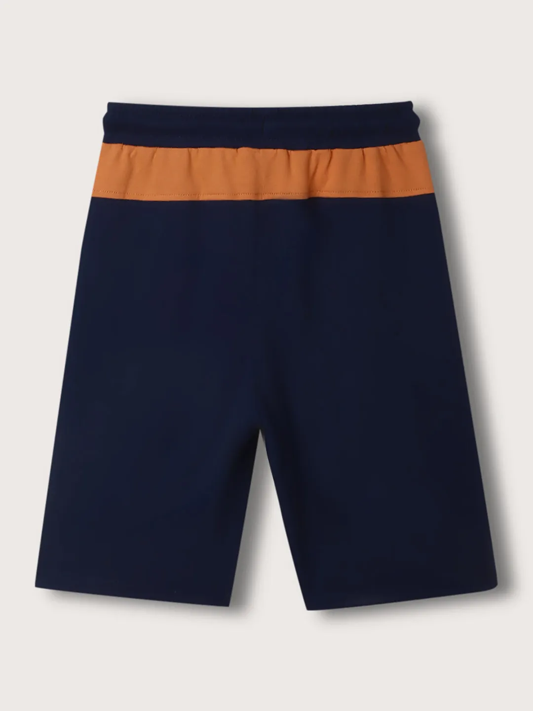 Blue Giraffe Boys Multicolor Colorblocked Straight Fit Mid-Rise Shorts