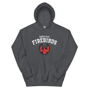 Coachella Valley Firebirds Adult Arch Pullover Hoodie
