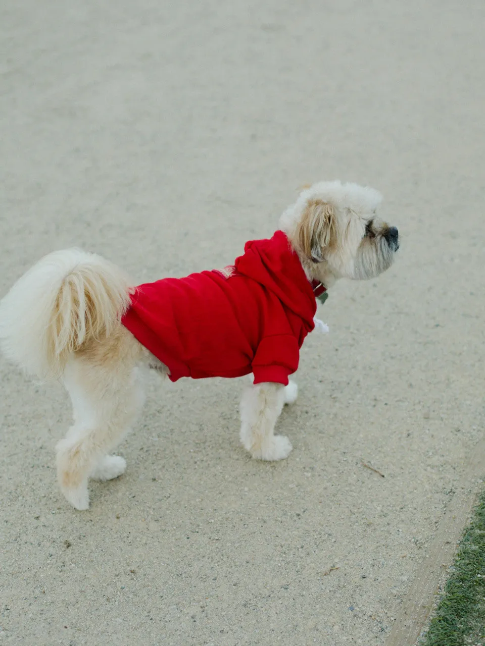 Red Dog Hoodie w/Red/Gold Logo Patch