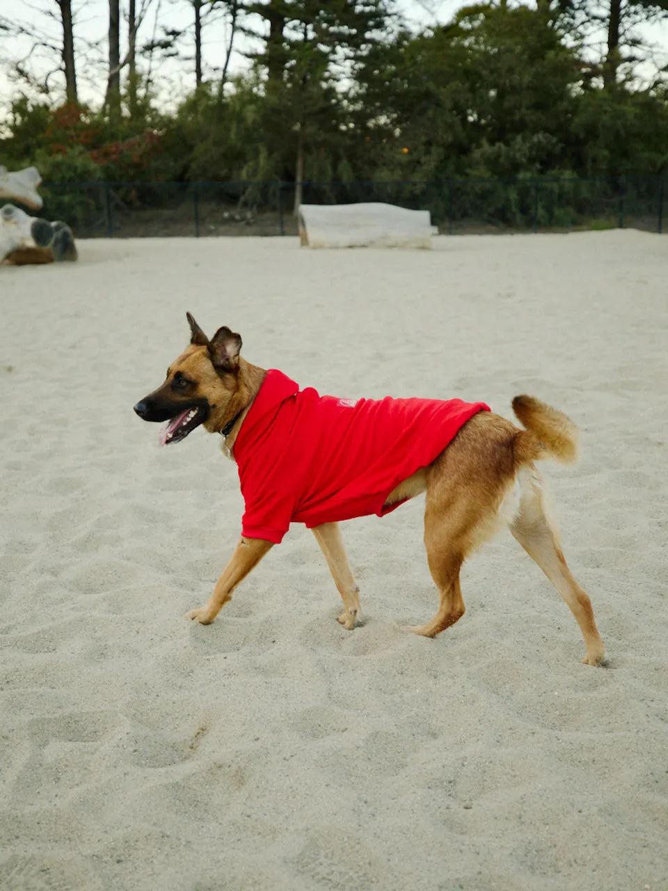 Red Dog Hoodie w/Red/Gold Logo Patch